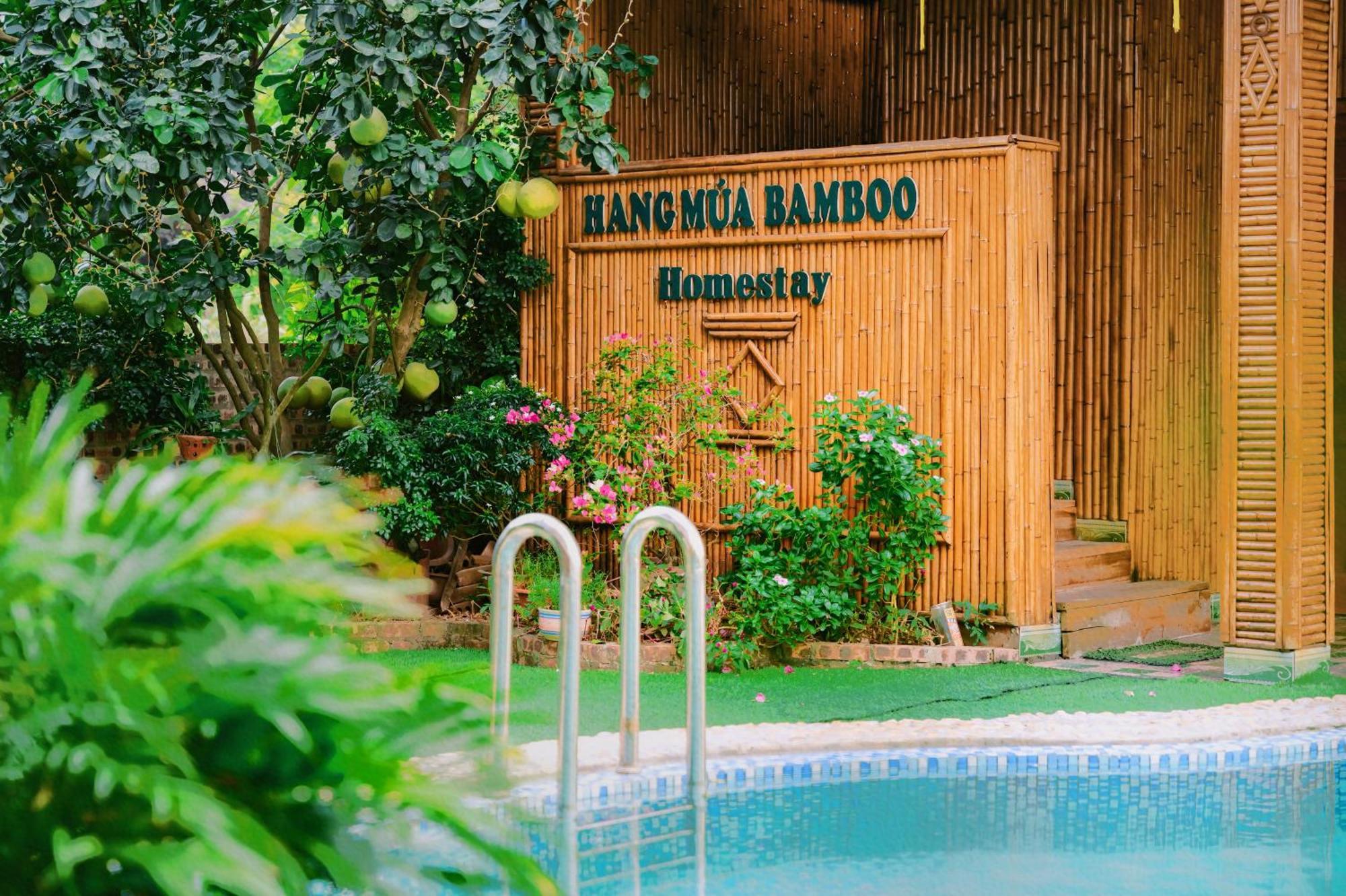 Hang Mua Bamboo Homestay Ninh Bình Exteriör bild